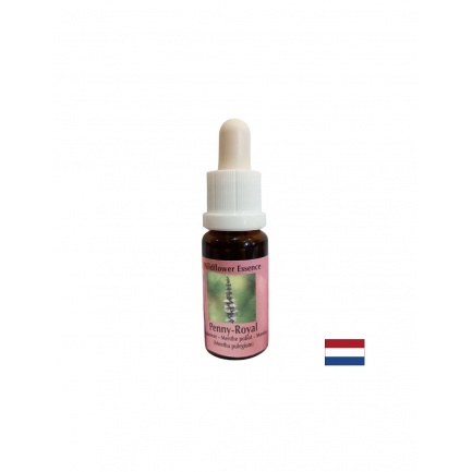 Есенция Мента №54 – Енергийна защита и психична яснота, 15 ml капки