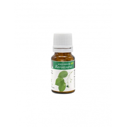 Етерично масло от камфорово дърво, 10 ml