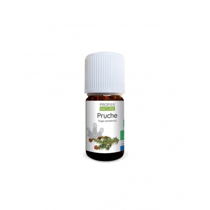 Нервна система - Етерично масло от канадска цуга (ела),5 ml