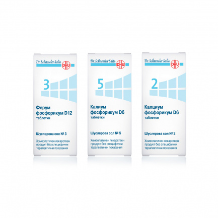 Шуслерови соли Комбинация при желязодефицитна анемия 3 х80 таблетки - DHU + подарък НЕСЕСЕР