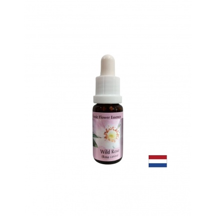 Повишава активността и мотивацията - Есенция Шипка № 37, капки 15 ml