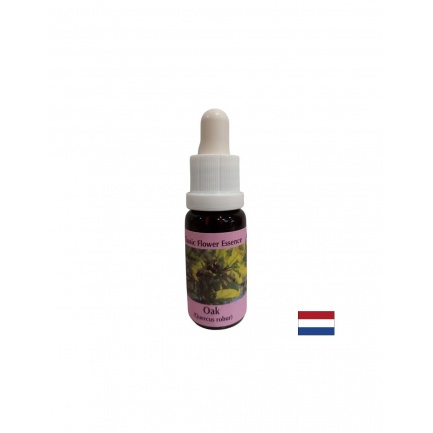 Зарежда с енергия - Есенция Дъб № 22, капки 15 ml